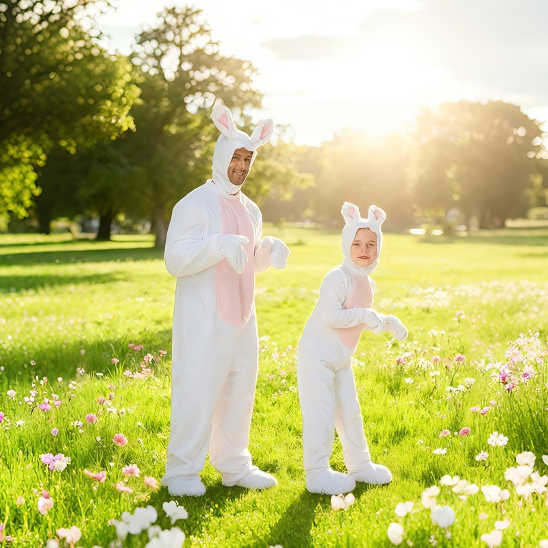 Halloween Adult Animal Rabbit  - Mens Fashion Jumpsuit review and price